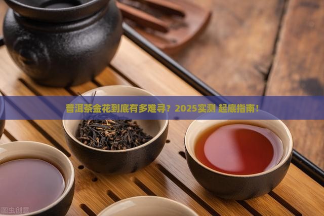普洱茶金花难觅吗