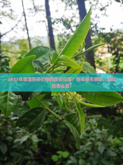 2013年普洱茶熟茶价格