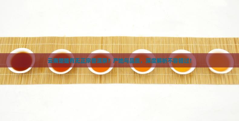 云南楚雄有无正宗普洱茶
