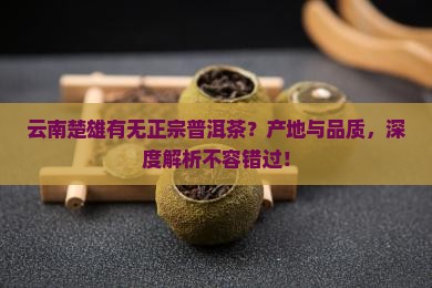 云南楚雄有无正宗普洱茶