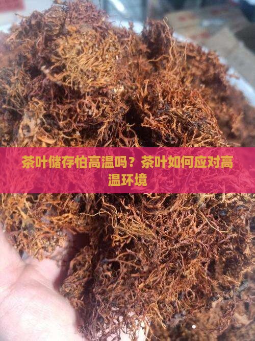茶叶储存怕高温吗