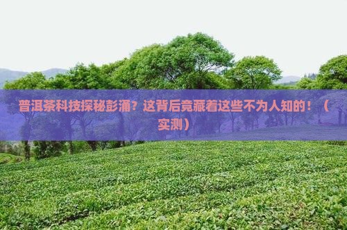 普洱茶科技探秘彭涌