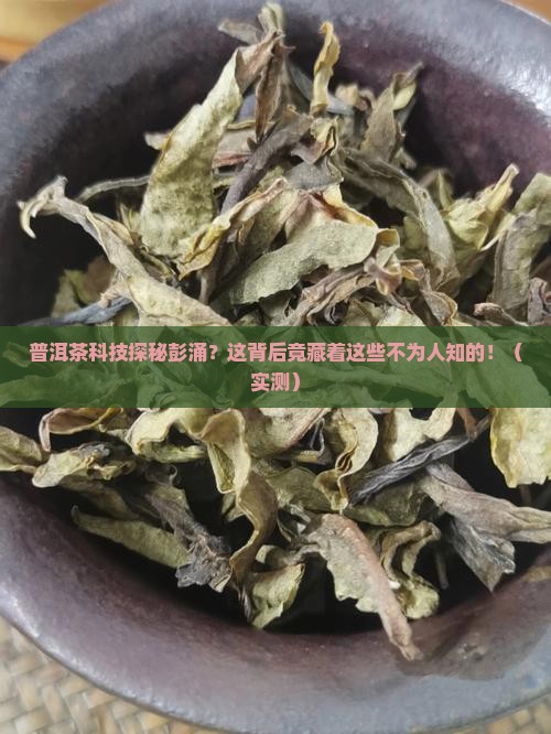 普洱茶科技探秘彭涌