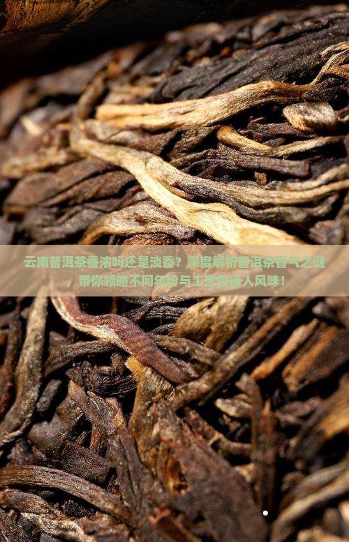 云南普洱茶香浓吗还是淡香