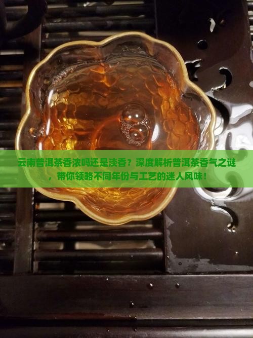 云南普洱茶香浓吗还是淡香