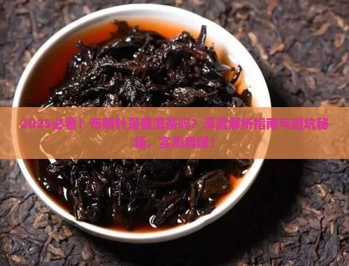 布朗针是普洱茶