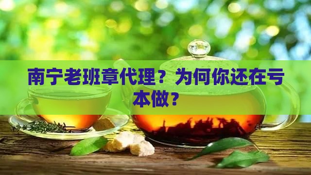 南宁老班章品牌代理