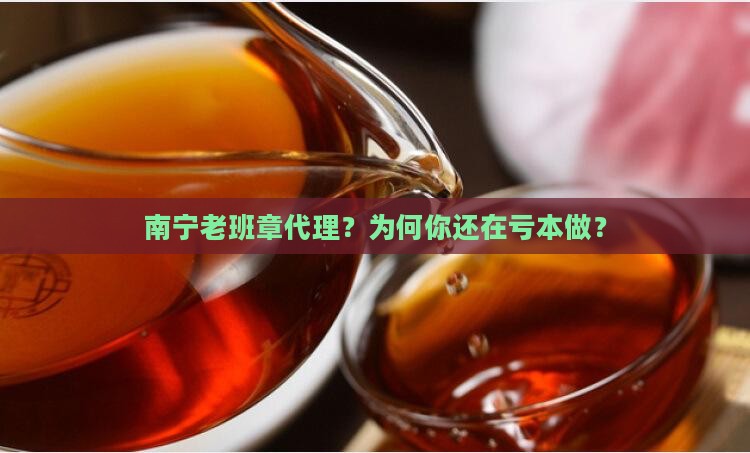 南宁老班章品牌代理
