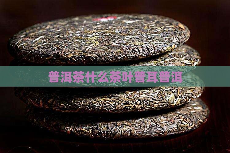普洱茶使用什么茶叶