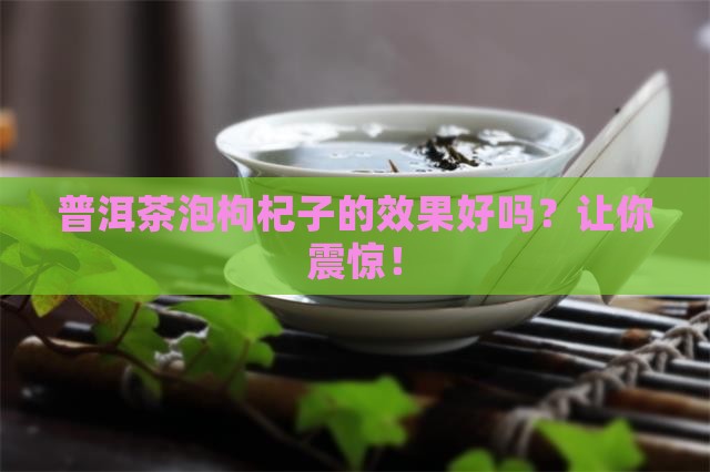 普洱茶泡枸杞子的效果好吗