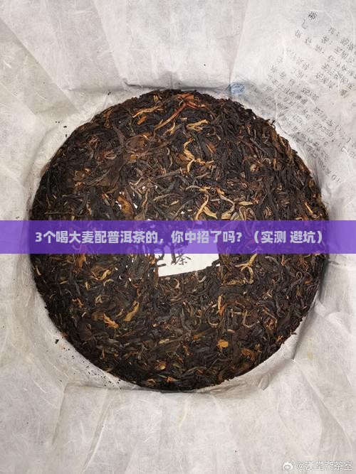 大麦配普洱茶可以喝吗百度百科