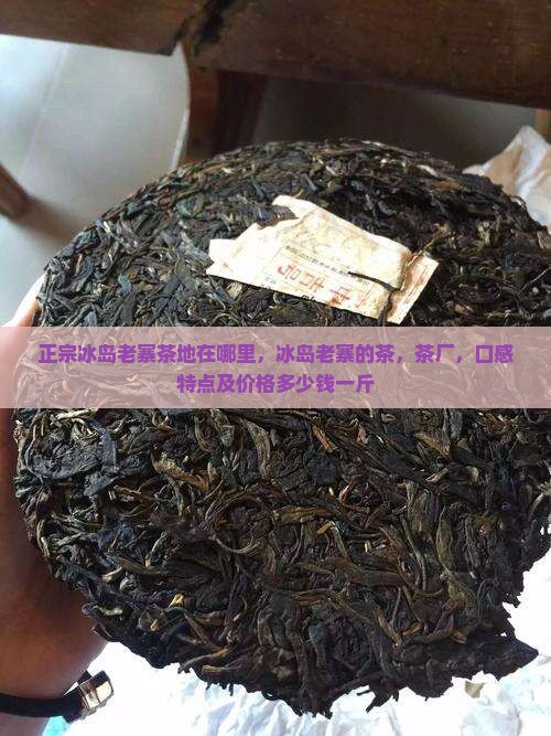 正宗冰岛老寨茶地