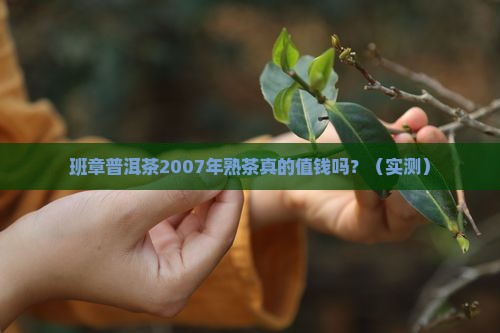 班章普洱茶2007年熟茶