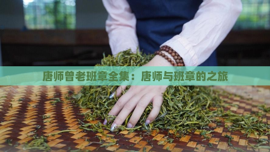 唐师曾老班章全集
