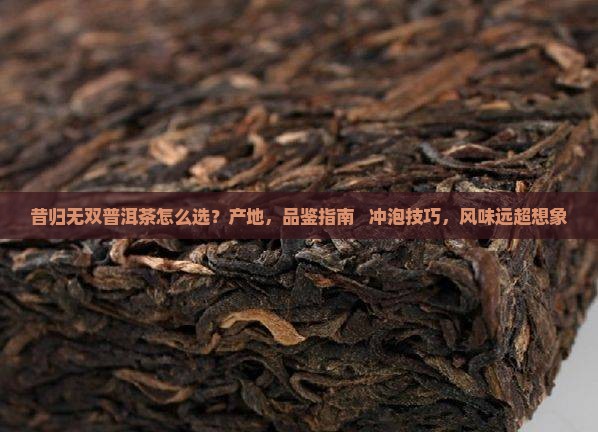 昔归无双普洱茶