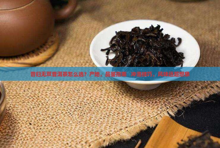 昔归无双普洱茶
