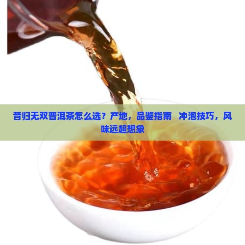 昔归无双普洱茶