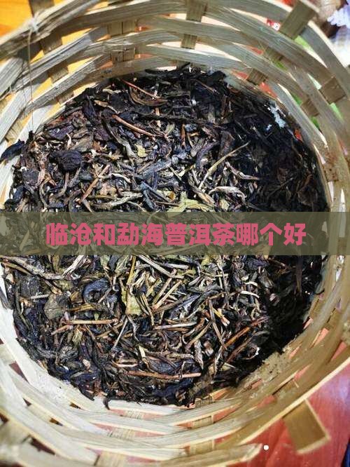 临沧和勐海普洱茶哪个好
