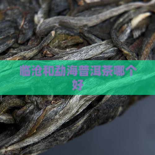 临沧和勐海普洱茶哪个好