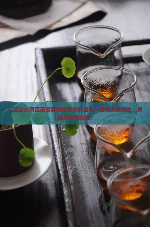 红运当头普洱茶膏