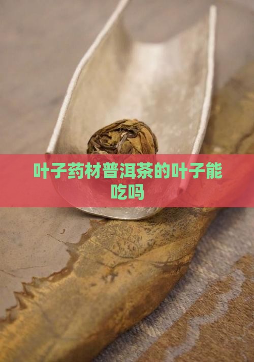 叶子药材普洱茶