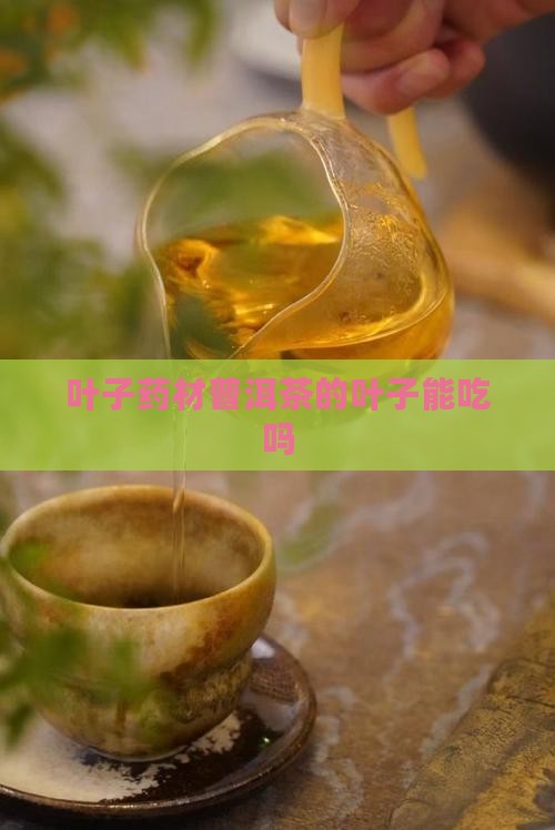 叶子药材普洱茶