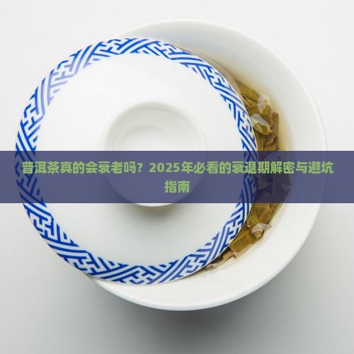 普洱茶衰退期是多少年