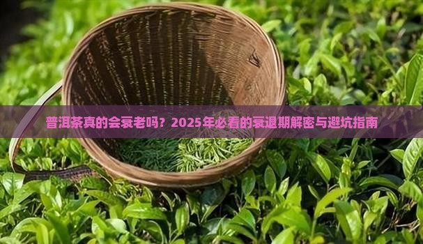 普洱茶衰退期是多少年