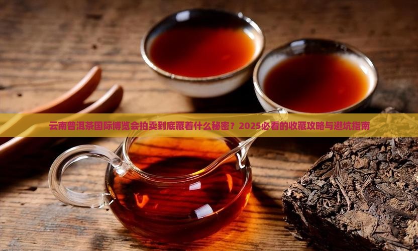 云南普洱茶国际博览会拍卖