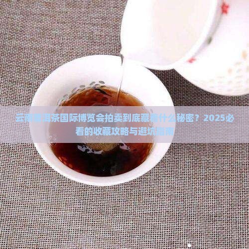 云南普洱茶国际博览会拍卖
