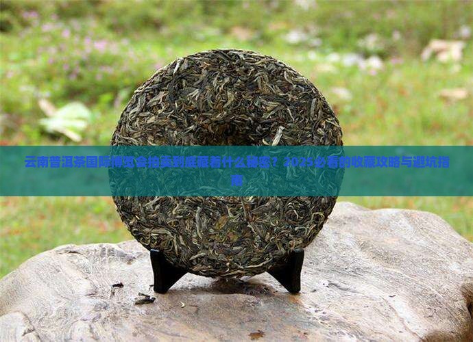 云南普洱茶国际博览会拍卖