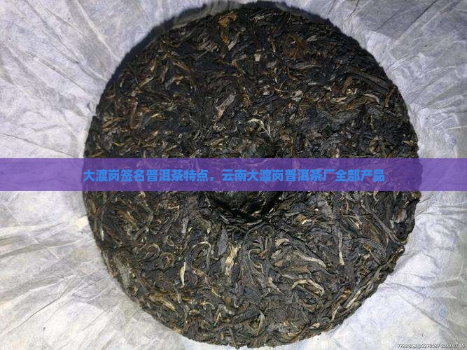大渡岗签名普洱茶