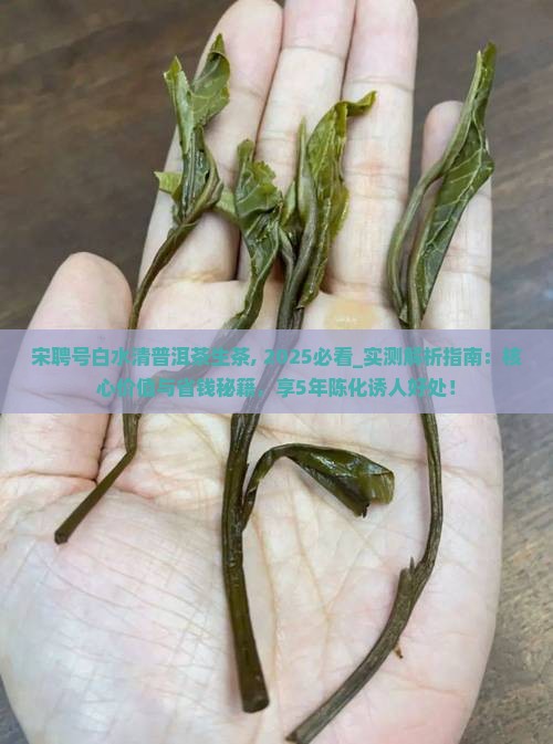 宋聘号白水清普洱茶生茶