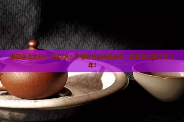 普洱茶的5个阶段