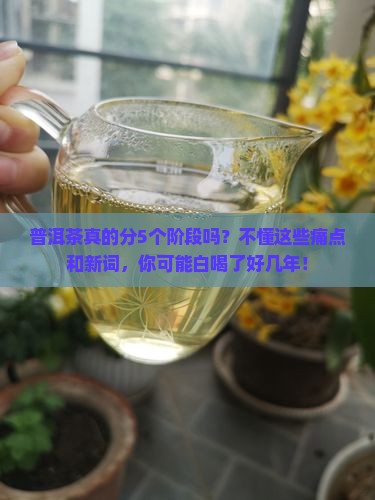 普洱茶的5个阶段