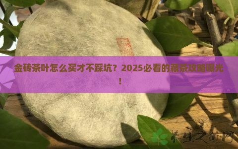 金砖茶叶购买藏