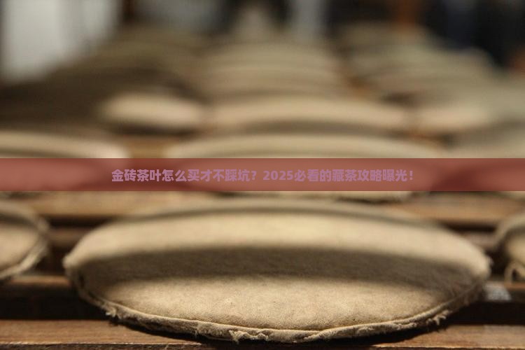 金砖茶叶购买藏