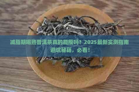 减脂期可以喝熟普洱茶吗