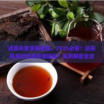诸葛亮普洱茶茶祖