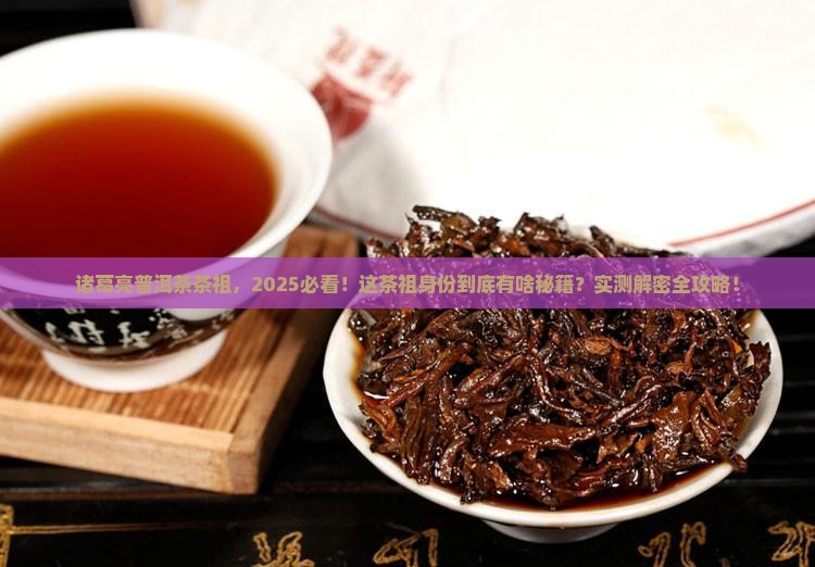 诸葛亮普洱茶茶祖