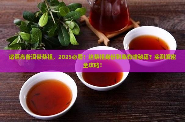 诸葛亮普洱茶茶祖