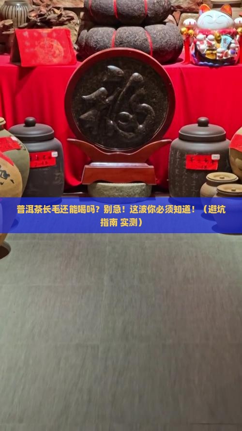普洱茶长毛还能吃吗
