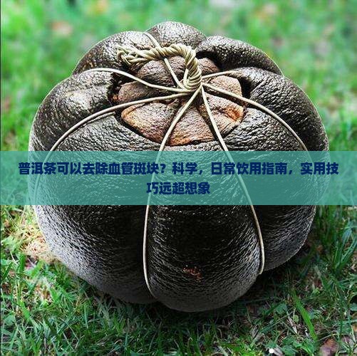 普洱茶可以去除血管斑块