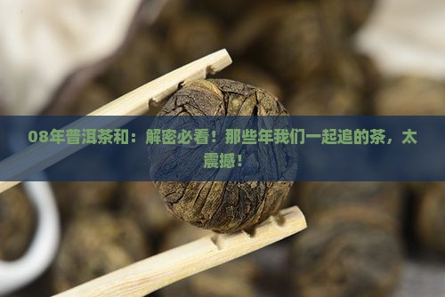 08年普洱茶和中华