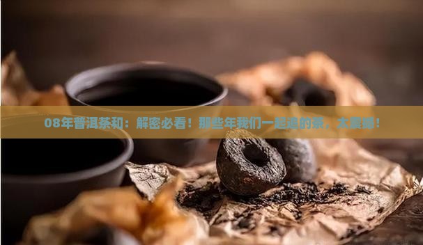 08年普洱茶和中华