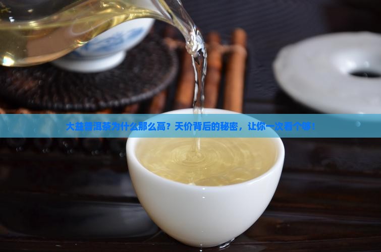 大益普洱茶为什么那么高