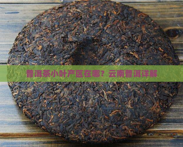 普洱茶哪里的是小叶种植