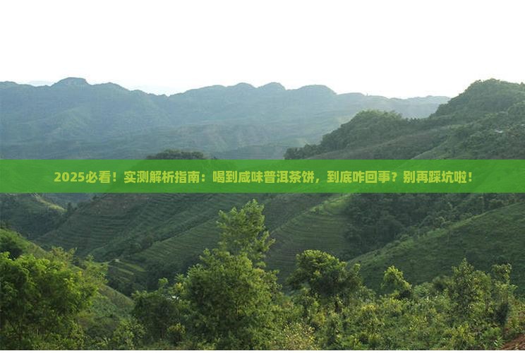 普洱茶饼带点咸味是什么普洱茶