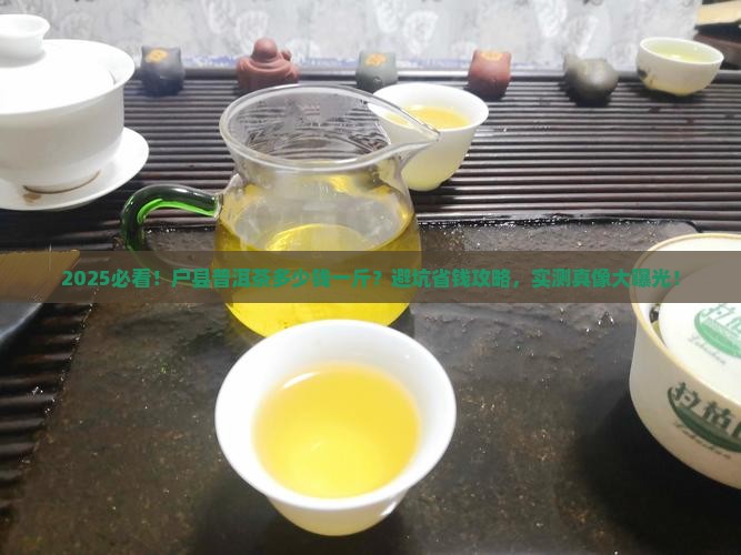 户县普洱茶多少钱一斤