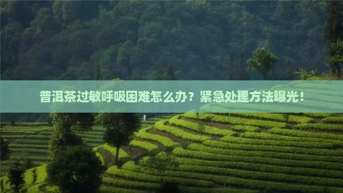 普洱茶过敏呼吸困难